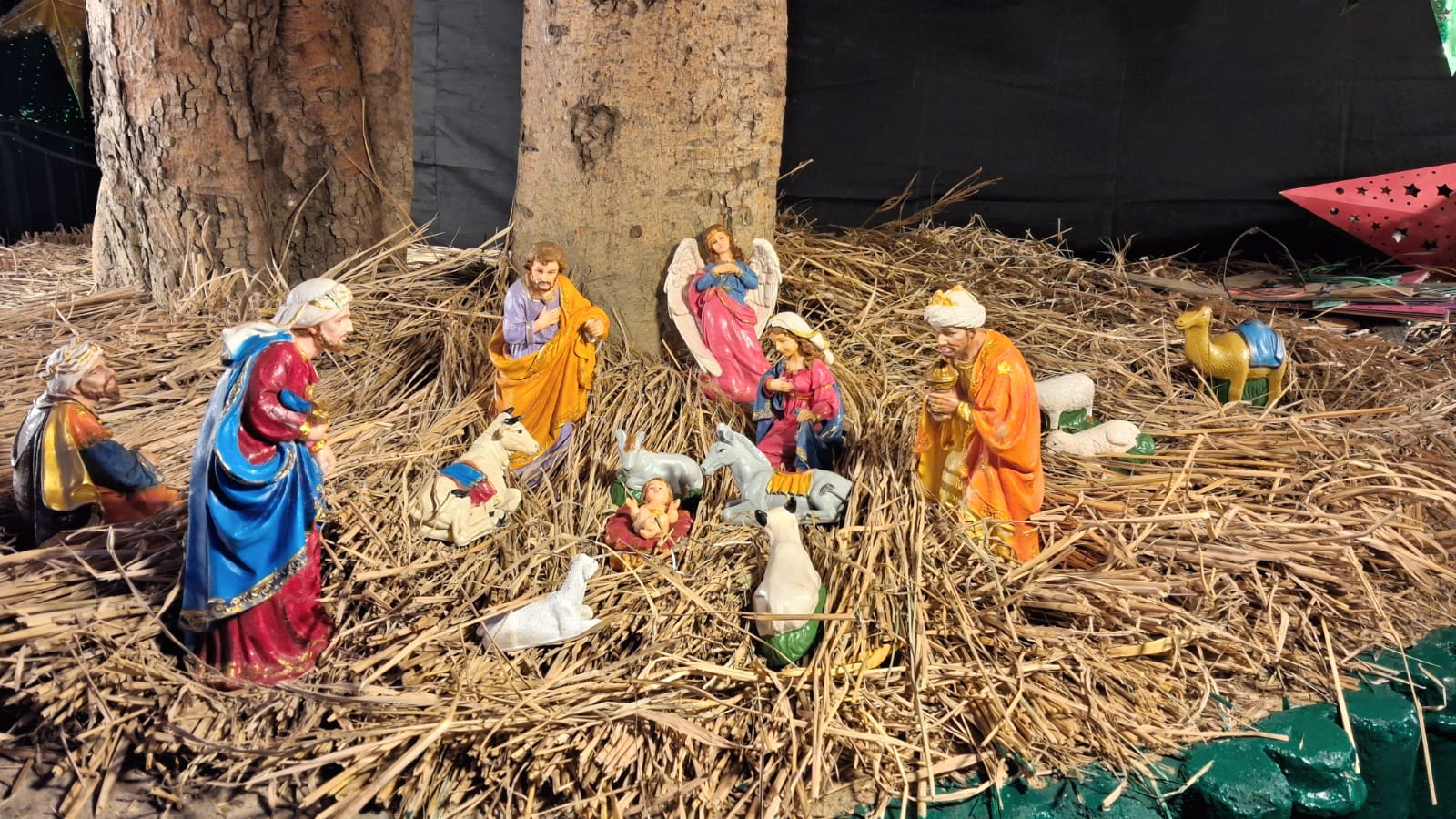 WhatsApp Image 2026 01 04 at 21.29.55 — Christmas And New Year 2026